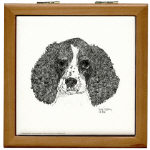 English Springer Spaniel Pen and Ink Tile/Coaster Box by NANCE